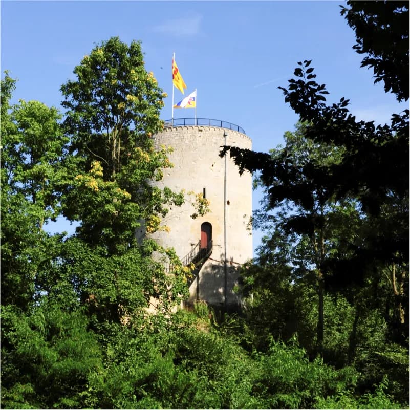 Rondleiding Kasteelruïne